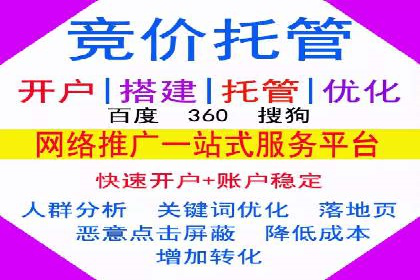 真实案例解析：SEM代运营托管公司的优势与挑战